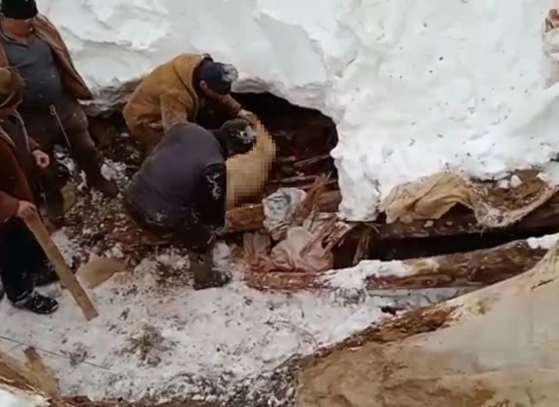 Kahramanmaraş’ta çığ düştü, keçiler telef oldu
