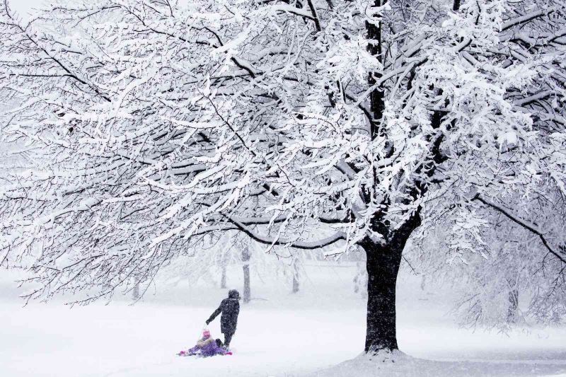 Washington DC’ye yılın ilk karı düştü
