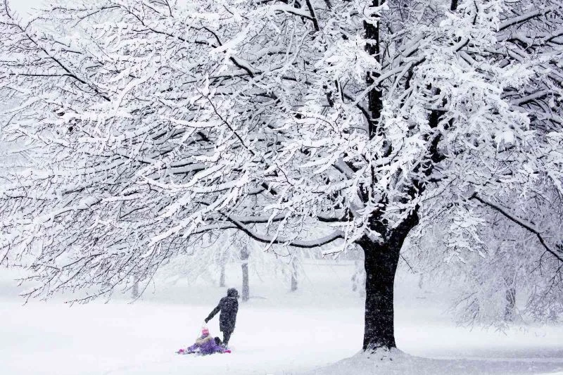 Washington DC’ye yılın ilk karı düştü
