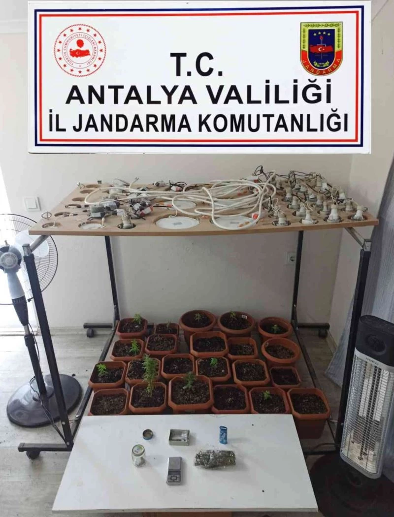 Evinde uyuşturucu madde yetiştirip satan şahsa operasyon
