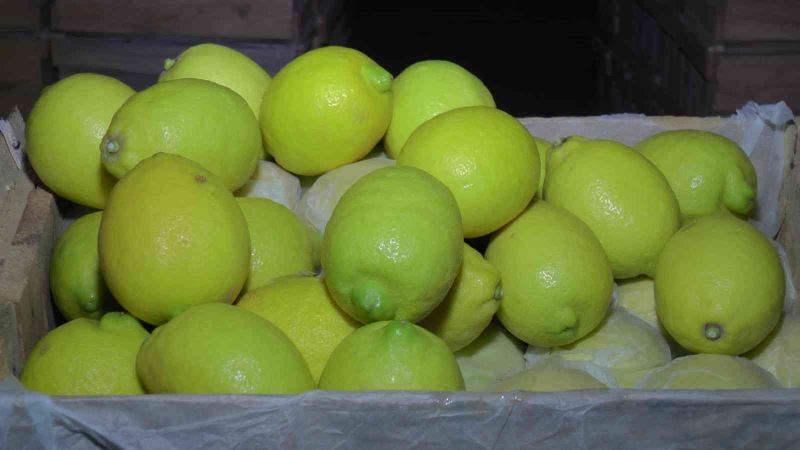 Kapadokya, Akdeniz bölgesinde yetiştirilen limona ’yataklık’ ediyor
