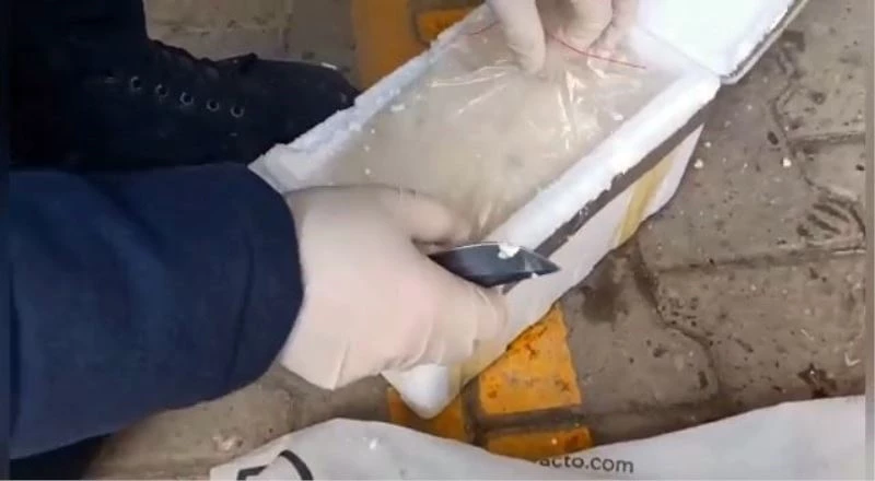 Uyuşturucu ile mücadelede son bir yılda 241 şüpheli tutuklandı
