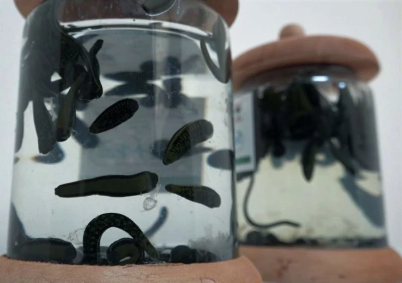 Geleneksel tıbbi yöntemler
