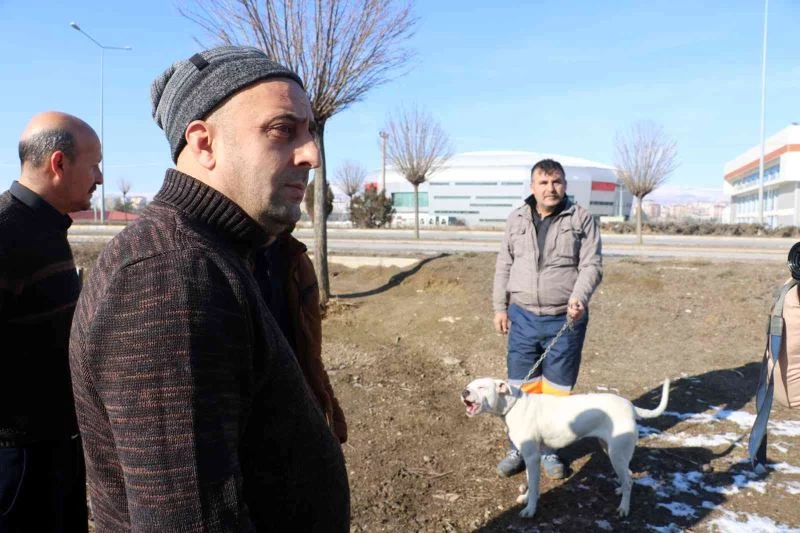 Yasaklı ırk köpeklerini kendi elleriyle teslim ettiler
