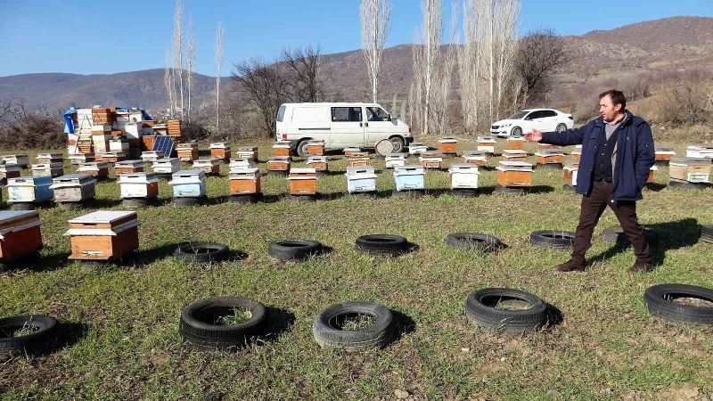 Tokat’ta, kovanlar içindeki arılarla birlikte çalındı
