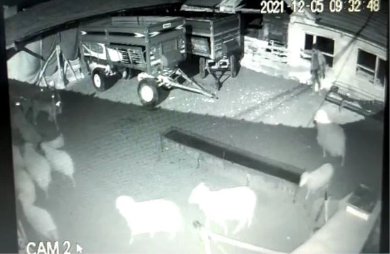  Talihsiz çiftçinin başına gelmeyen kalmadı
