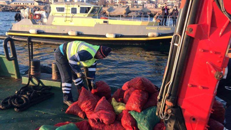 Bayrampaşa Hali’nde 5 ton kaçak midye ele geçirildi: Canlı midyeler denize bırakıldı
