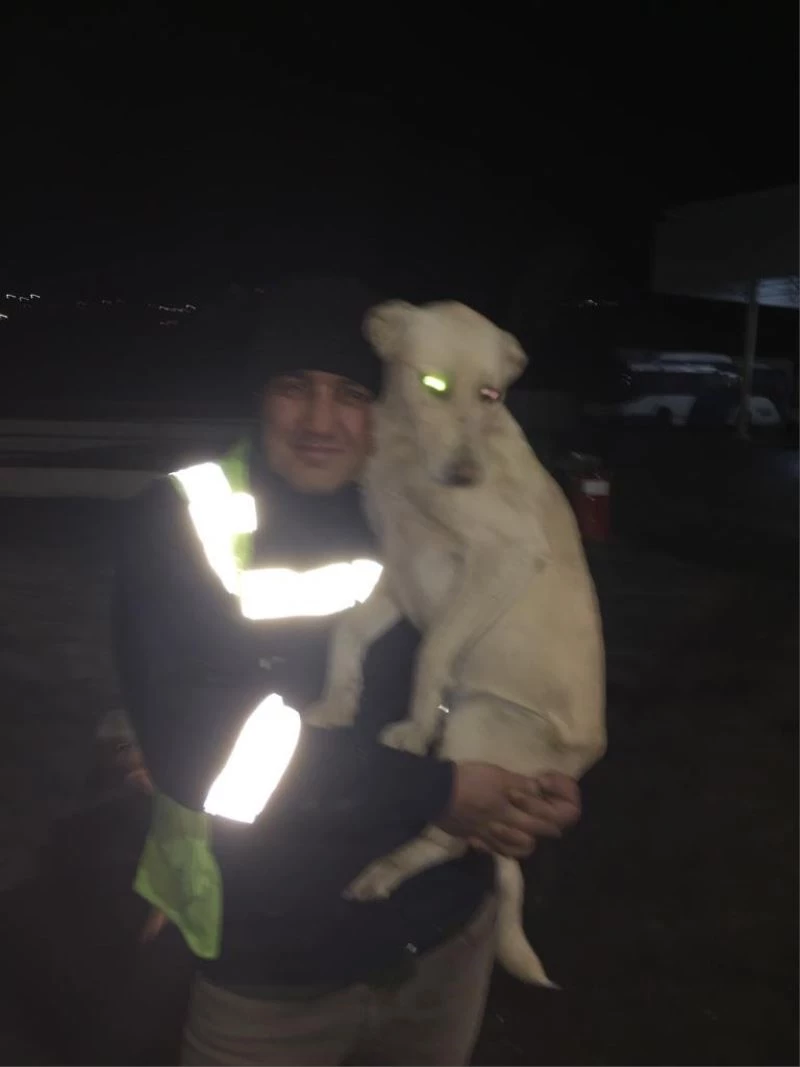 Ankara’da otobüs şoförünün köpekle yaşadığı eğlenceli anlar kamerada
