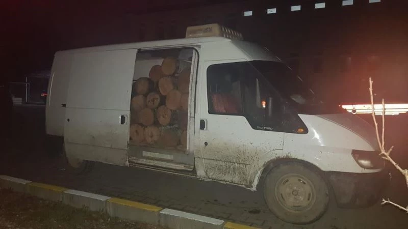 Kaçak kestikleri ağaçlarla birlikte yakalandılar
