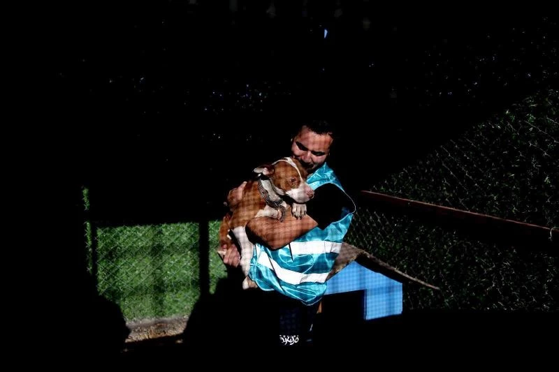 Sokağa bırakılan pitbullar ile dost oldu...Onların sokağa terk edilmesini istemiyor
