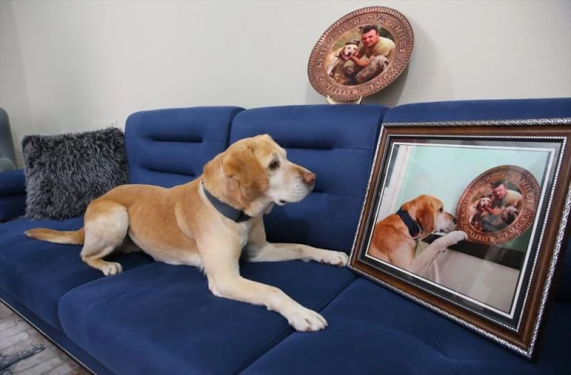 Yılın fotoğrafı seçilen 