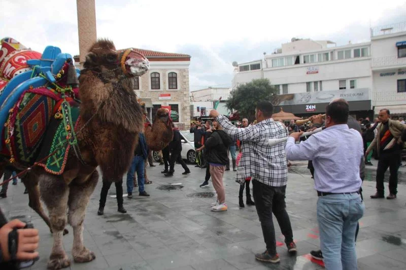 Develeri gören telefona sarıldı
