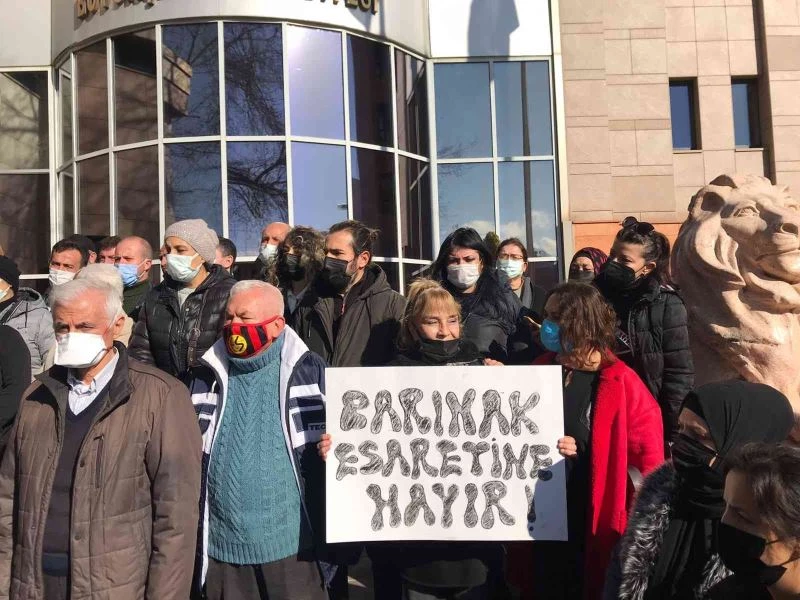 Hayvanseverlerden belediyelere sokak hayvanları tepkisi
