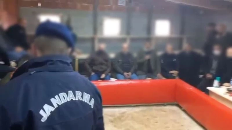 Trabzon’da horoz dövüşü operasyonu
