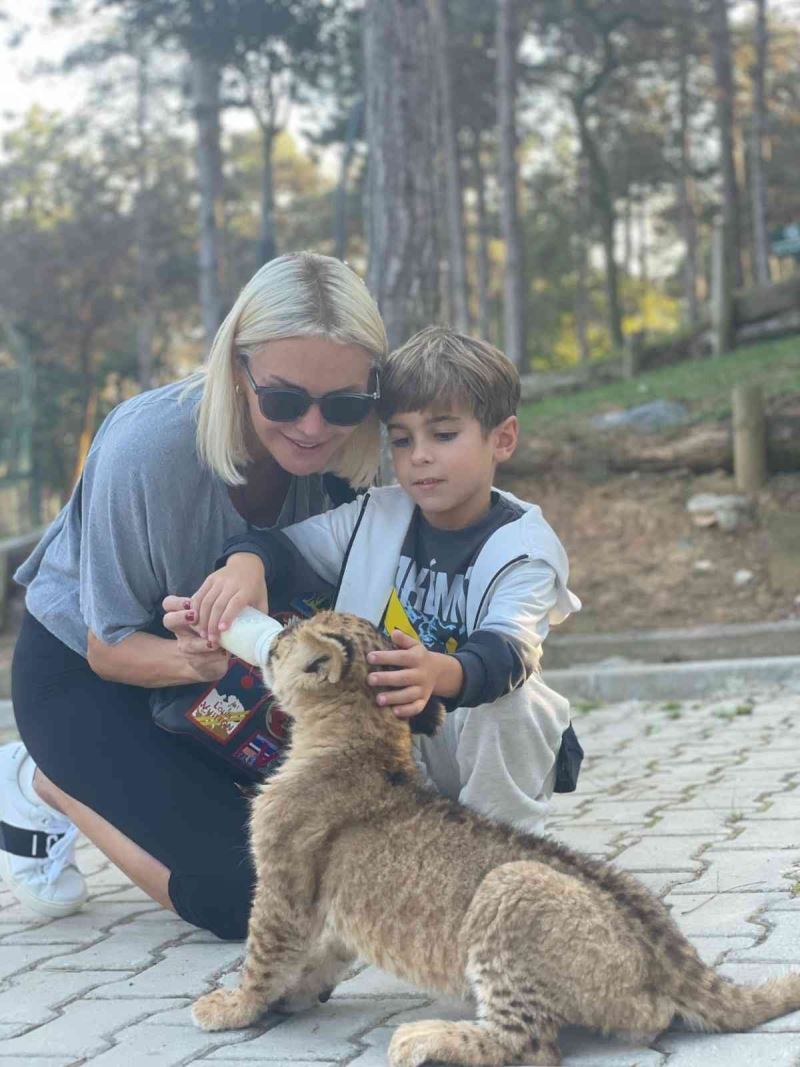 Ünlü oyuncu Ece Erken 3 aylık yavru aslanı elleriyle  besledi
