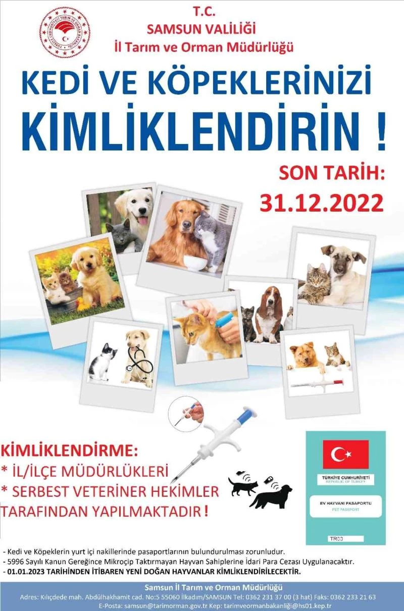 Samsun’da 7 bin 277 evcil hayvan mikroçip uygulanarak kayıt altına alındı
