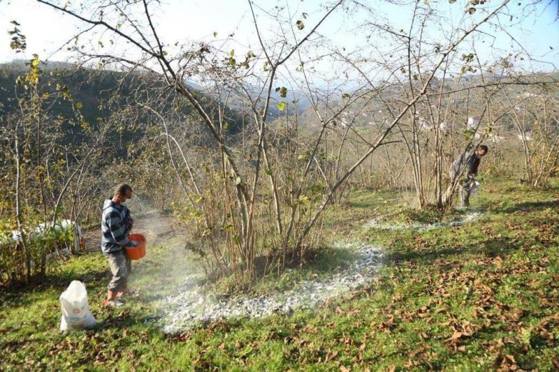 FINVER’e rekor başvuru
