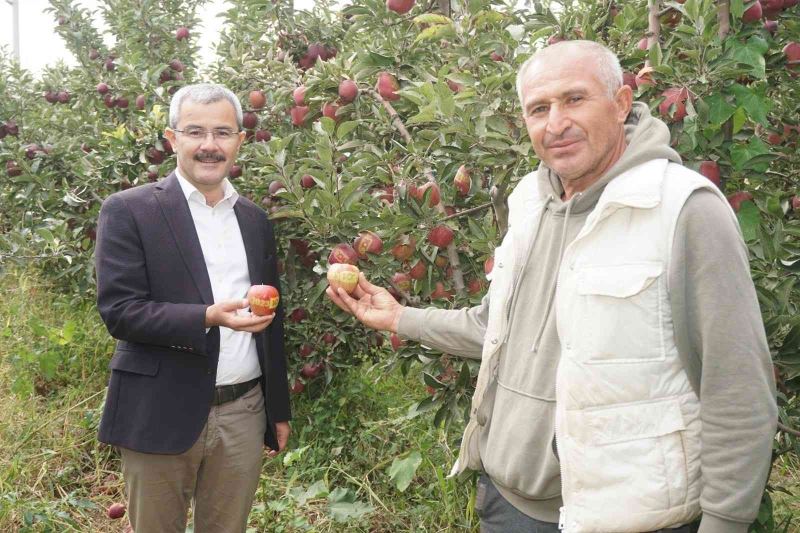 Çivril elması Cumhurbaşkanı Erdoğan’a hediye edildi
