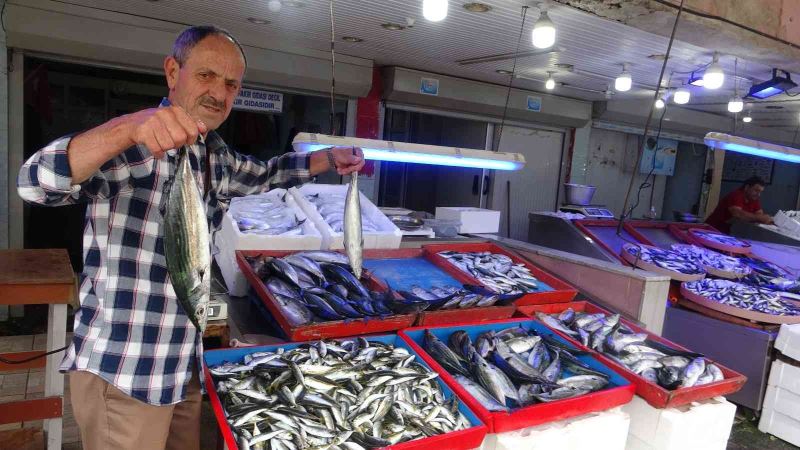 Giresunlu balıkçılar ucuz balık için palamut göçünü bekliyor
