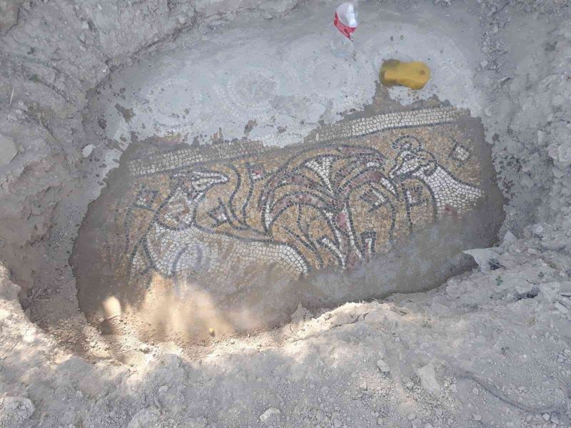 Kaçak kazıda buldukları mozaiğin başında yakalandılar
