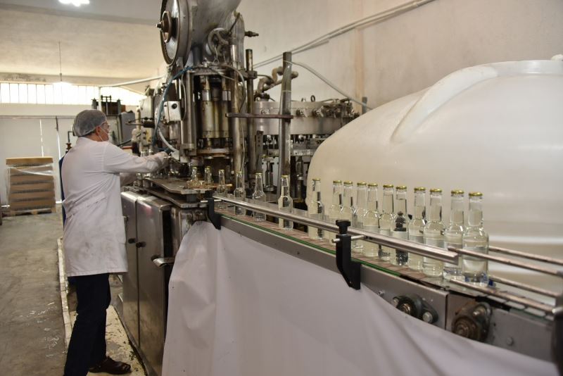Karatay’ın lavantası ekonomiye katkı sağlıyor
