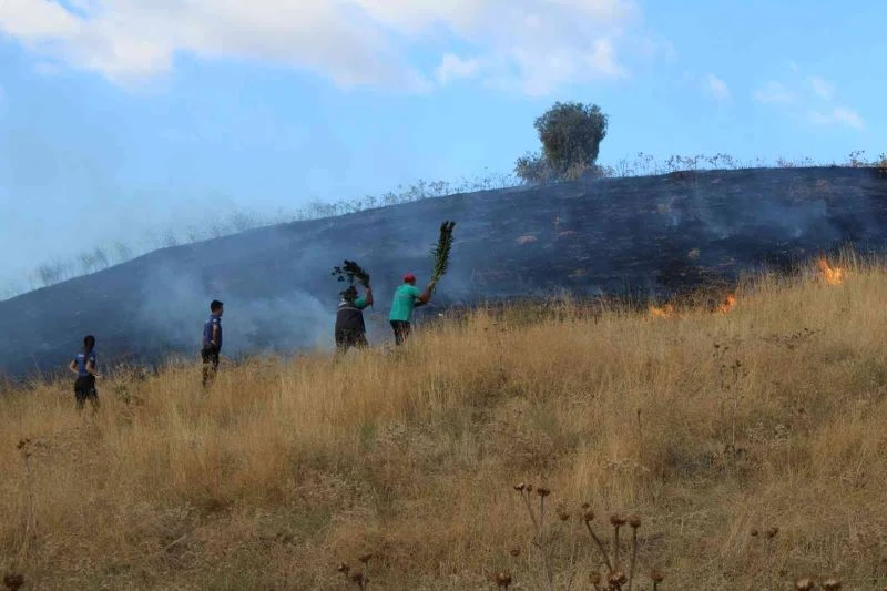 Ellerine aldıkları dallar ile yangını söndürdüler
