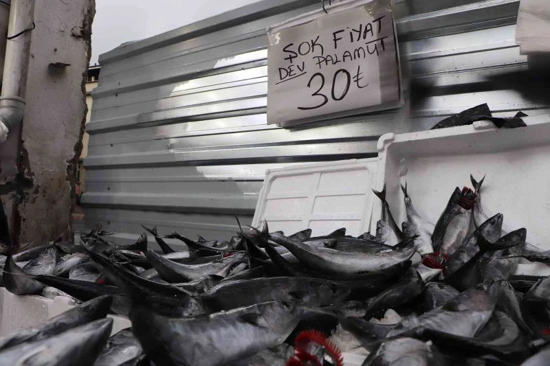 Vatandaş palamut stokluyor
