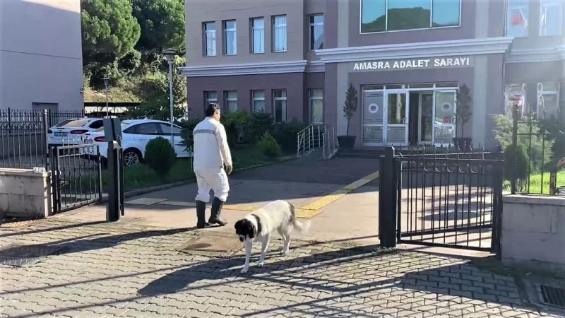 Maden kazası soruşturmasında ifadeler alınmaya devam ediyor
