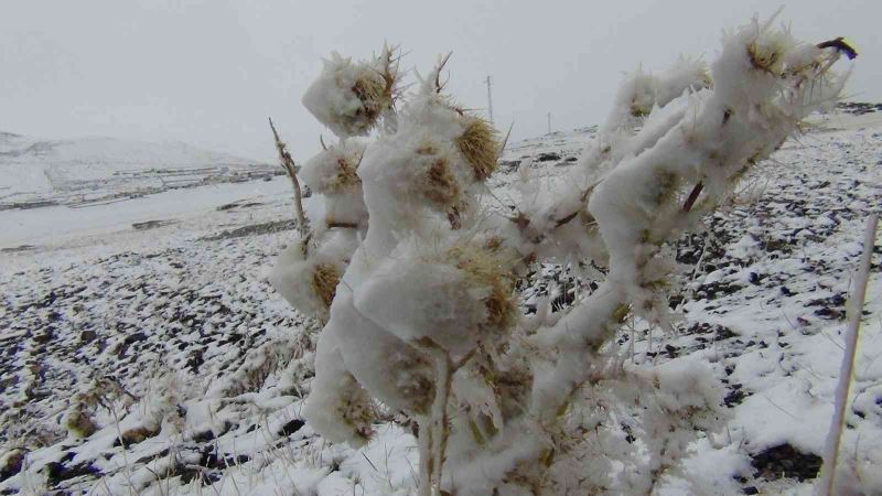 Kars’a mevsimin ilk karı yağdı

