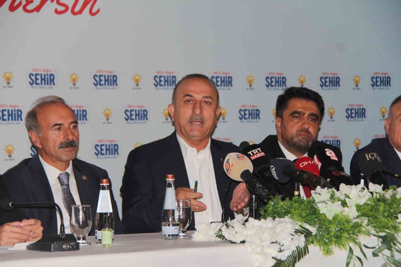 Çavuşoğlu: 