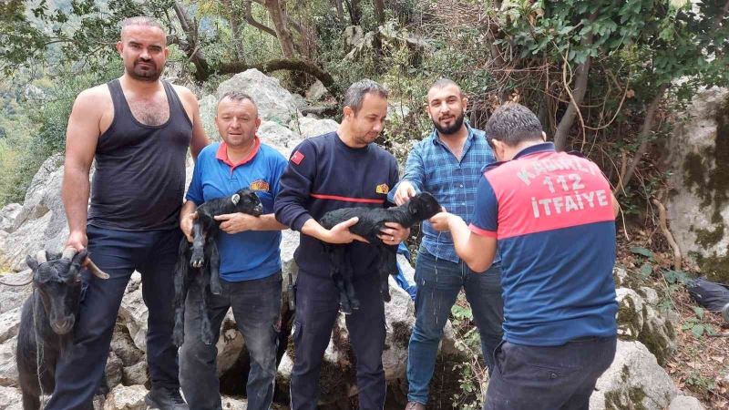 5 metrelik çukurda sıkışan keçi yavrusunu itfaiye kurtardı
