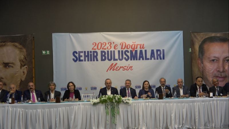 Çavuşoğlu: 