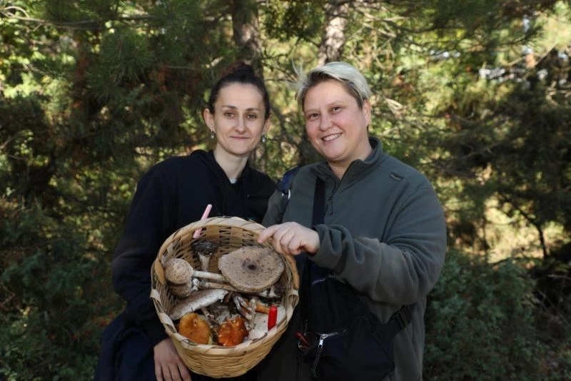 Türkiye’nin mantar avcıları Bursa’da buluştu
