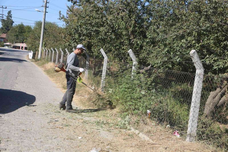 Efeler’de yabani ot temizliği
