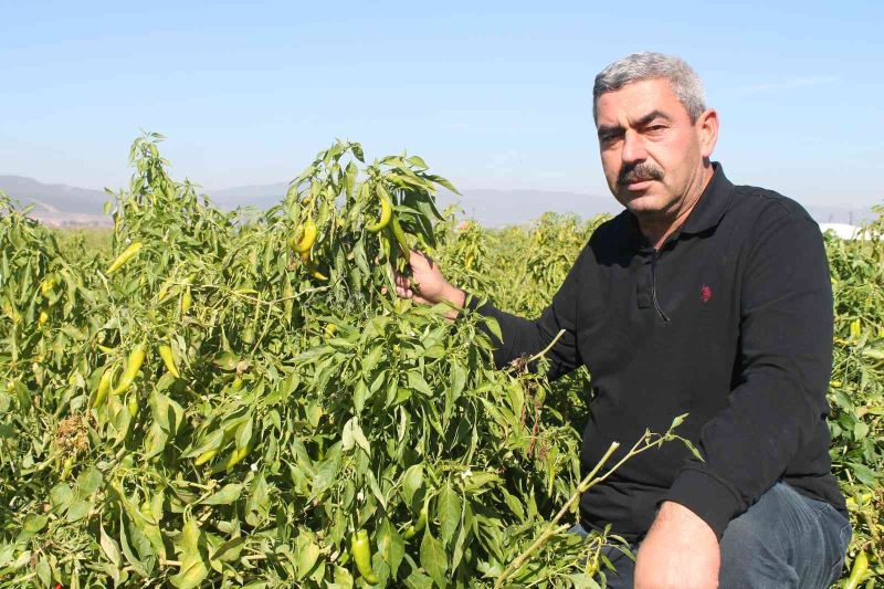 Türkiye’de ilk kez Bursa’da denendi, işçi maliyetleri yüzde 90 düştü
