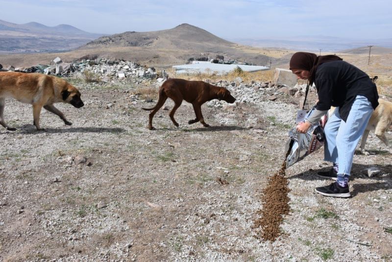 Kocasinan Gençlere Hayvan Sevgisi Aşılıyor
