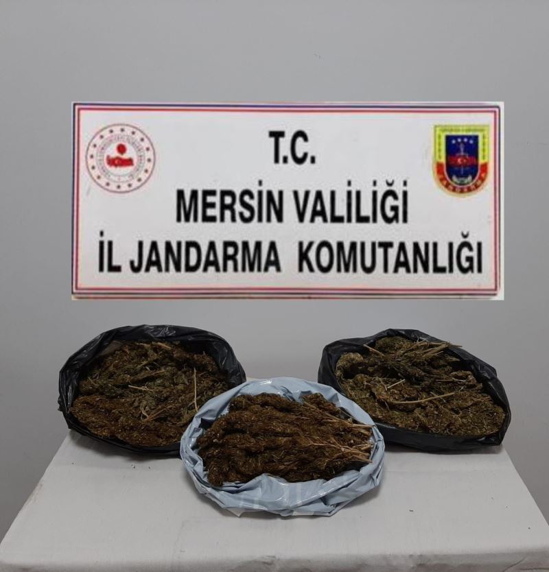 Mersin’de 10 kilo 248 gram skunk ele geçirildi
