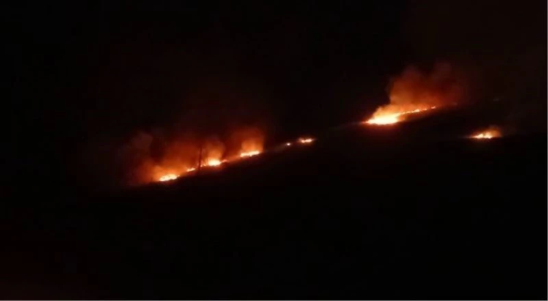 İspir’de korkutan yangın
