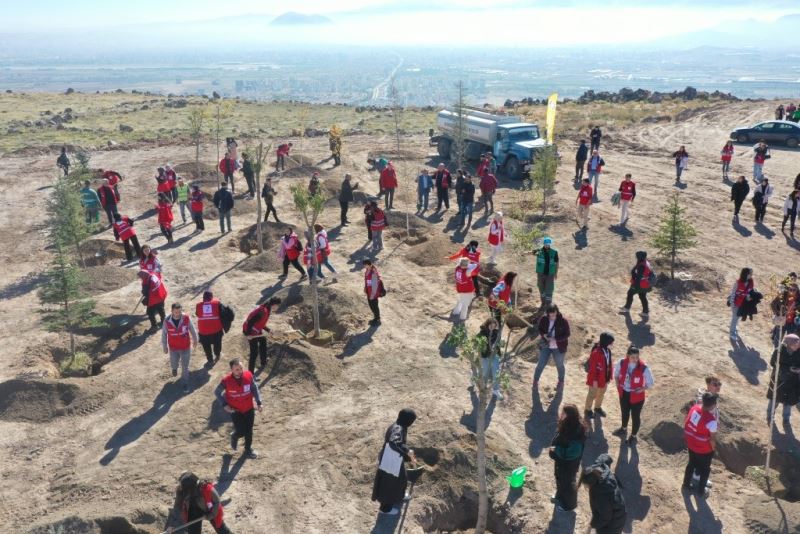 Kocasinan Belediyesi, Kızılay Haftası’nı ağaçlarla taçlandırdı
