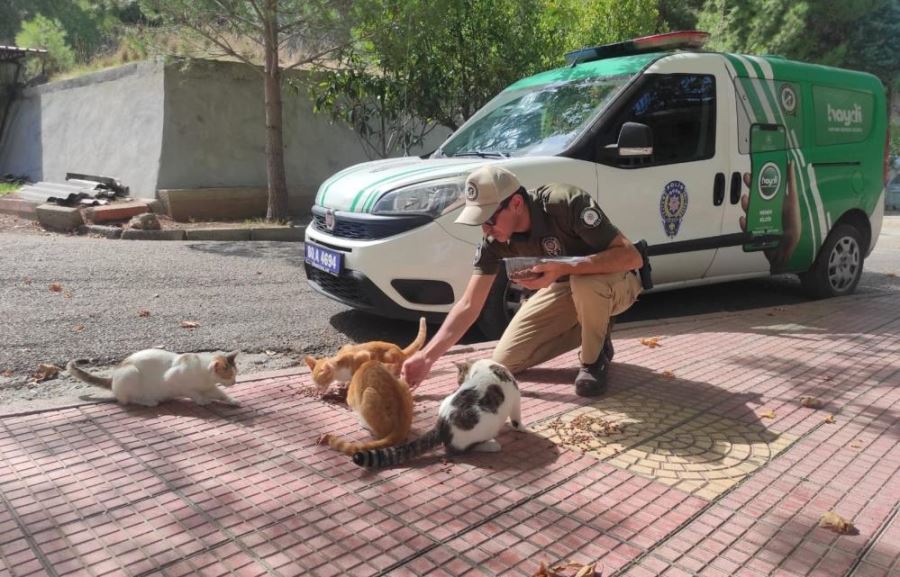 Osmaniye’de sokak hayvanlarına mama bırakıldı