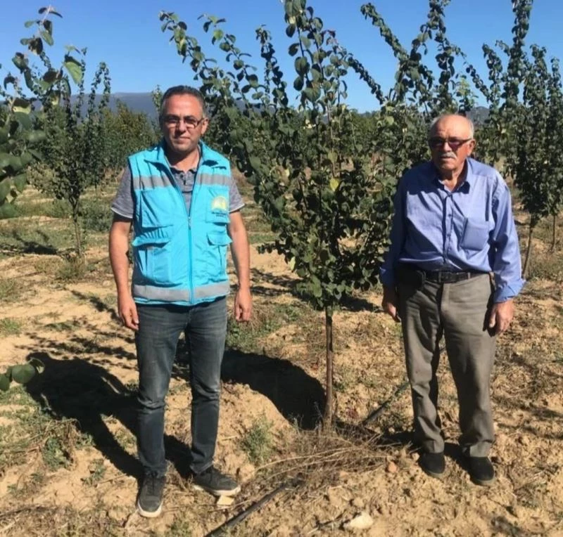 Simav’da sertifikalı ayva bahçesinde 2022 yılı kontrolü
