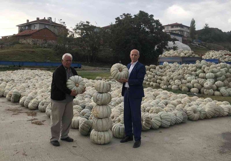 Bilecik’te kışlık kabakların hasadı yapıldı
