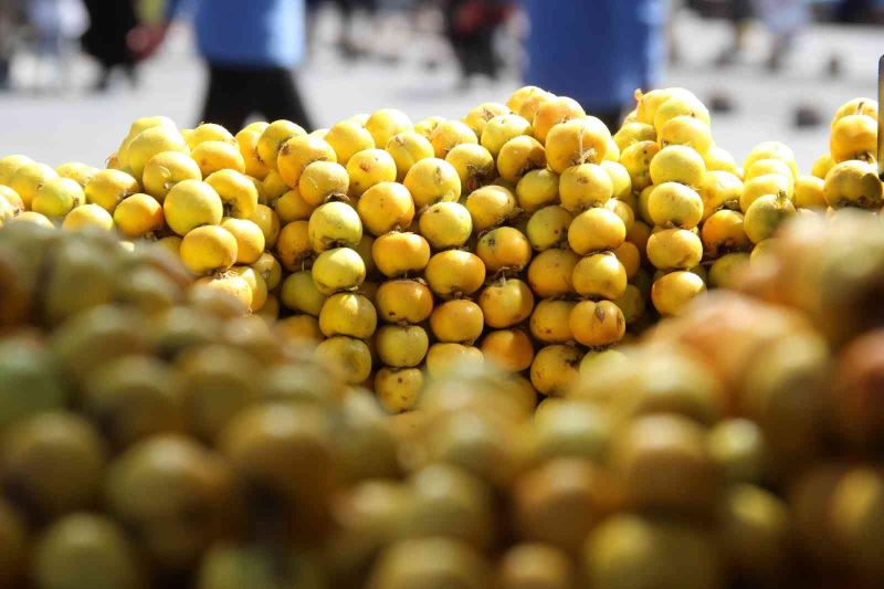 Kurak bölgelerde yetişiyor, faydası saymakla bitmiyor
