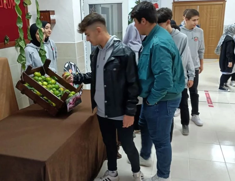 Emet Anadolu İmam Hatip Lisesinde, “Askıda Meyve