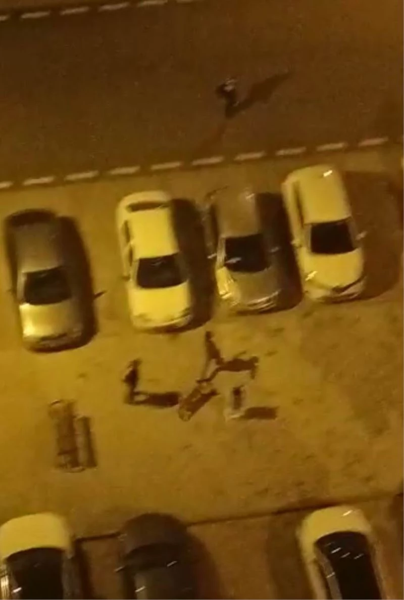 Köpeği çocukların üstüne saldı, korkan çocuk otomobilin üstüne çıktı
