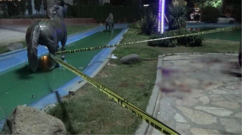 Köpeğini gezdiren adama saldıran 4 şüpheli yakalandı
