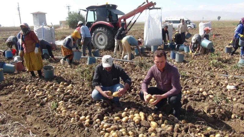 Niğde’de patates hasadı başladı
