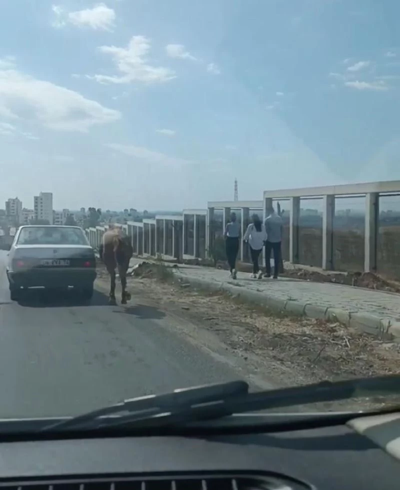 Atı otomobile bağlayıp hızla yoluna devam etti
