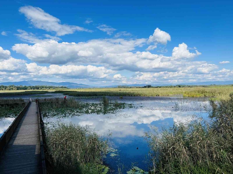 Efteni Gölü, sonbaharda doğaseverleri mest ediyor
