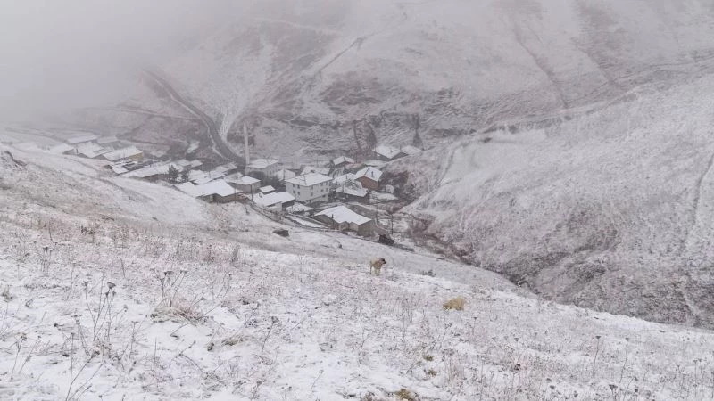 Bayburt’un yüksek kesimlerine kar yağdı
